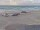 Webcam in Corpus Christi, Texas, 75.2 mi away