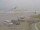 Webcam in Corpus Christi, Texas, 19.4 mi away