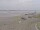 Webcam in Corpus Christi, Texas, 52.3 mi away