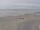 Webcam in Corpus Christi, Texas, 47.3 mi away