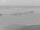 Webcam in Corpus Christi, Texas, 26.8 km entfernt