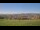 Webcam in Regen, 4.3 mi away