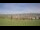 Webcam in Regen, 10.1 mi away