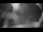 Webcam in Regeneración, 8 km