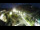 Webcam in St. Valentin auf der Haide, 0.2 km entfernt
