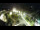 Webcam in St. Valentin auf der Haide, 4.8 km entfernt