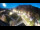 Webcam in St. San Valentín en el Haide, 8.4 km