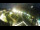 Webcam in San Valentino alla Muta, 0.2 km