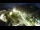 Webcam in St. Valentin auf der Haide, 0.8 mi away