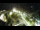 Webcam in St. Valentin auf der Haide, 6.5 km entfernt