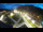 Webcam in St. Valentin auf der Haide, 0.1 mi away
