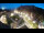 Webcam in St. Valentin auf der Haide, 3.2 mi away