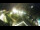Webcam in San Valentino alla Muta, 7.2 km
