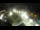Webcam in St. Valentin auf der Haide, 2.8 mi away