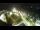 Webcam in St. Valentin auf der Haide, 6.5 km entfernt