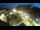 Webcam in San Valentino alla Muta, 8.4 km