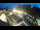 Webcam in St. Valentin auf der Haide, 2.8 mi away