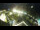 Webcam in St. Valentin auf der Haide, 7.2 km