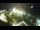 Webcam in St. Valentin auf der Haide, 1.7 mi away