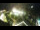 Webcam in St. Valentin auf der Haide, 0.3 km
