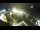 Webcam in St. Valentin auf der Haide, 2.8 mi away