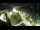 Webcam in St. Valentin auf der Haide, 0.8 mi away