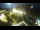 Webcam in St. Valentin auf der Haide, 7.3 km entfernt