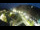 Webcam in St. San Valentín en el Haide, 7.2 km