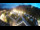 Webcam in St. Valentin auf der Haide, 2.8 mi away