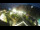 Webcam in St. Valentin auf der Haide, 2.8 mi away