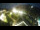 Webcam in St. Valentin auf der Haide, 4.6 km