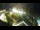 Webcam in St. Valentin auf der Haide, 5.5 km entfernt