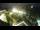 Webcam in St. Valentin auf der Haide, 2.8 mi away
