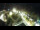 Webcam in St. Valentin auf der Haide, 2.1 km entfernt