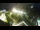 Webcam in St. Valentin auf der Haide, 2.8 mi away