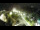 Webcam in St. Valentin auf der Haide, 7.2 km