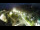 Webcam in St. San Valentín en el Haide, 7.2 km