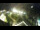 Webcam in St. San Valentín en el Haide, 8.4 km