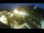 Webcam in St. Valentin auf der Haide, 11.9 km entfernt