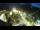 Webcam in San Valentino alla Muta, 0.1 km