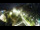 Webcam in St. Valentin auf der Haide, 2.1 km entfernt
