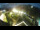 Webcam in St. Valentin auf der Haide, 2.8 mi away