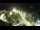 Webcam in St. Valentin auf der Haide, 8.4 km entfernt