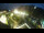 Webcam in St. Valentin auf der Haide, 0.1 mi away