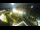 Webcam in San Valentino alla Muta, 7.3 km