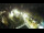 Webcam in St. Valentin auf der Haide, 0.2 km