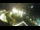 Webcam in St. Valentin auf der Haide, 2.8 mi away