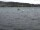 Webcam in Uster, 13.5 km