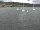Webcam in Uster, 13.7 km