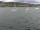 Webcam in Uster, 5.3 mi away